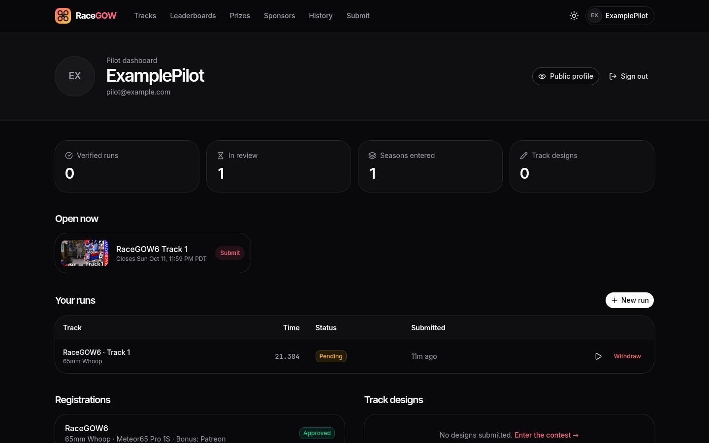 Screenshot: Pilot dashboard